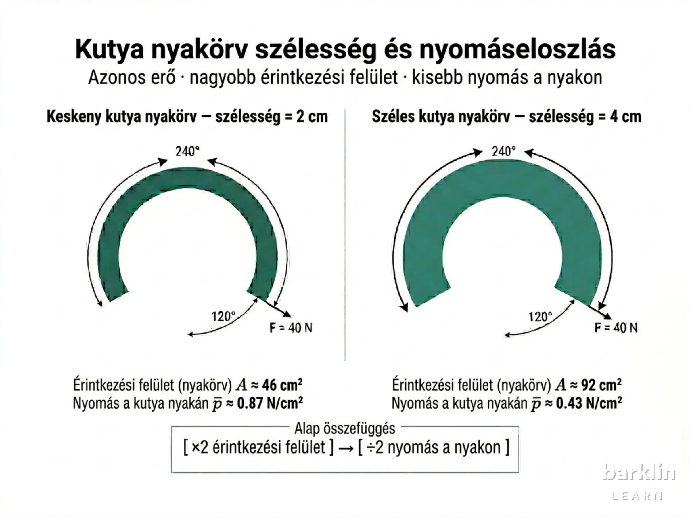 Kutyanyak hengermodellje nyakörrel — kontaktív, szalagszélesség és pórázerő jelölve